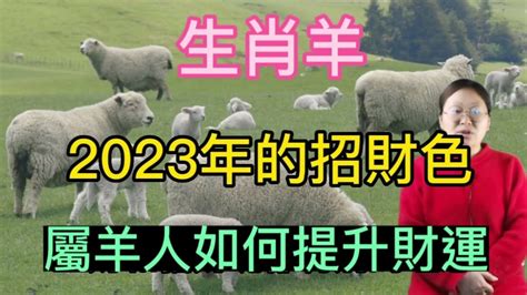 羊的幸運顏色|【屬羊的幸運色】《把握好運！2024年屬羊者必收藏。